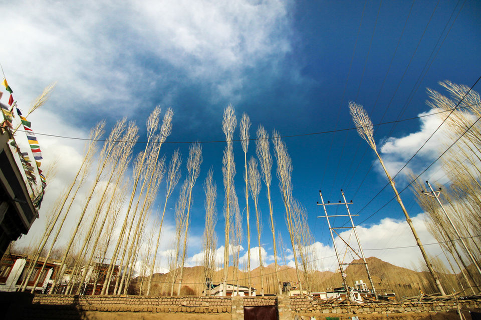 Photo of Ladakh - Of Deserts and Mountains by Vikas Singh