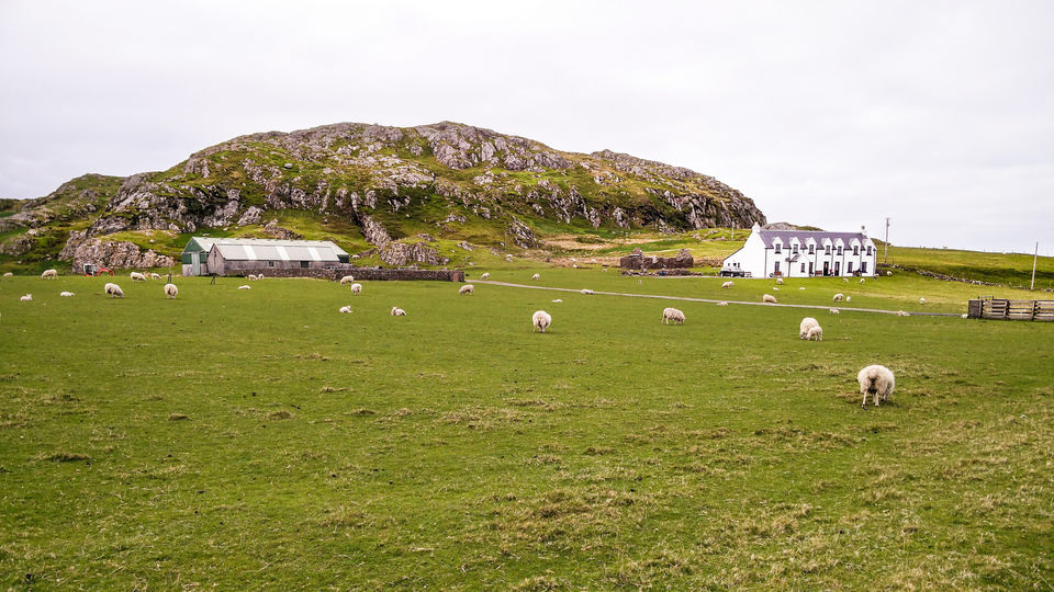 Photo of Scotland - A Solo Crusade 37/65 by Vikas Singh