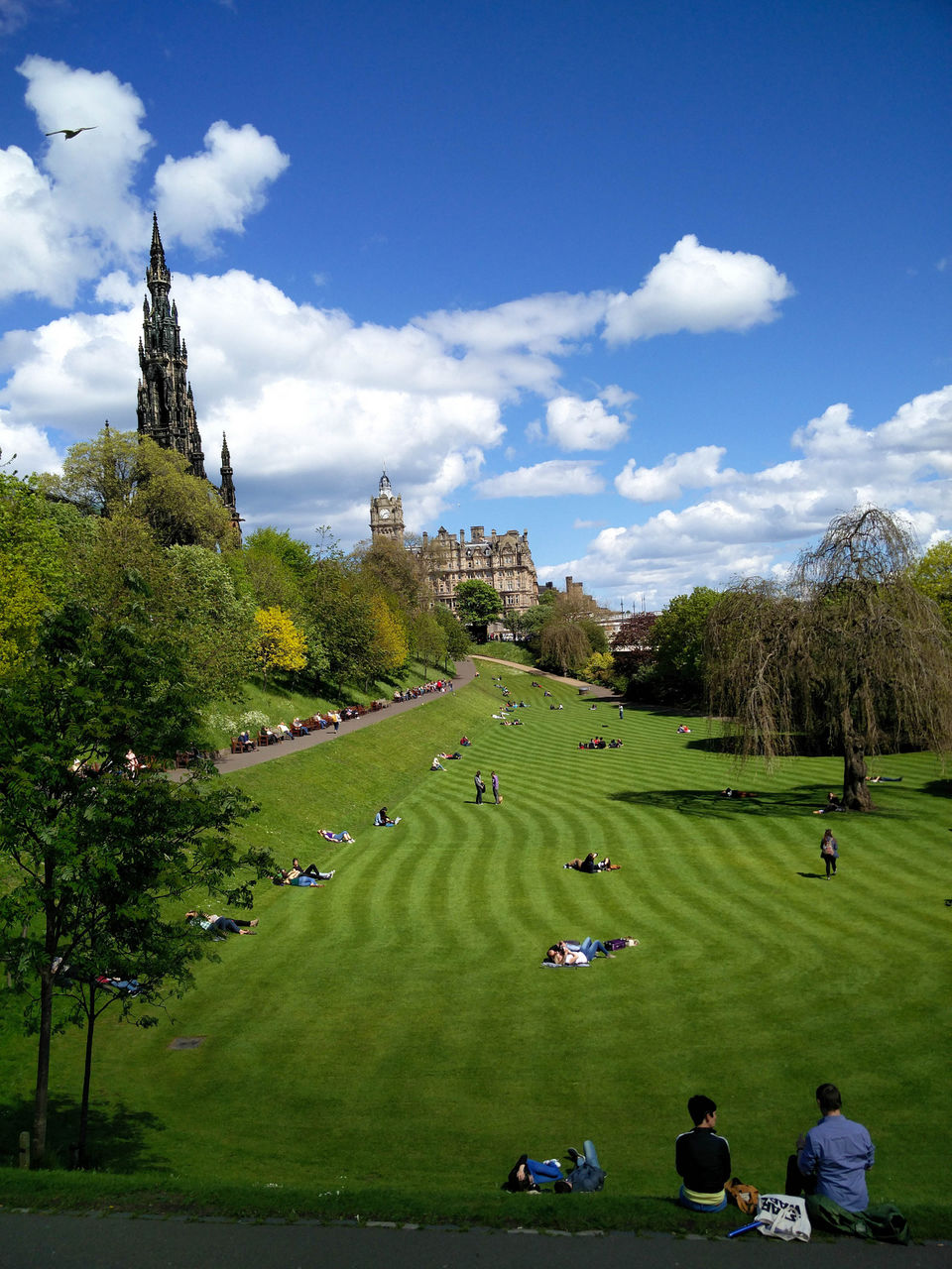 Photo of Scotland - A Solo Crusade 65/65 by Vikas Singh