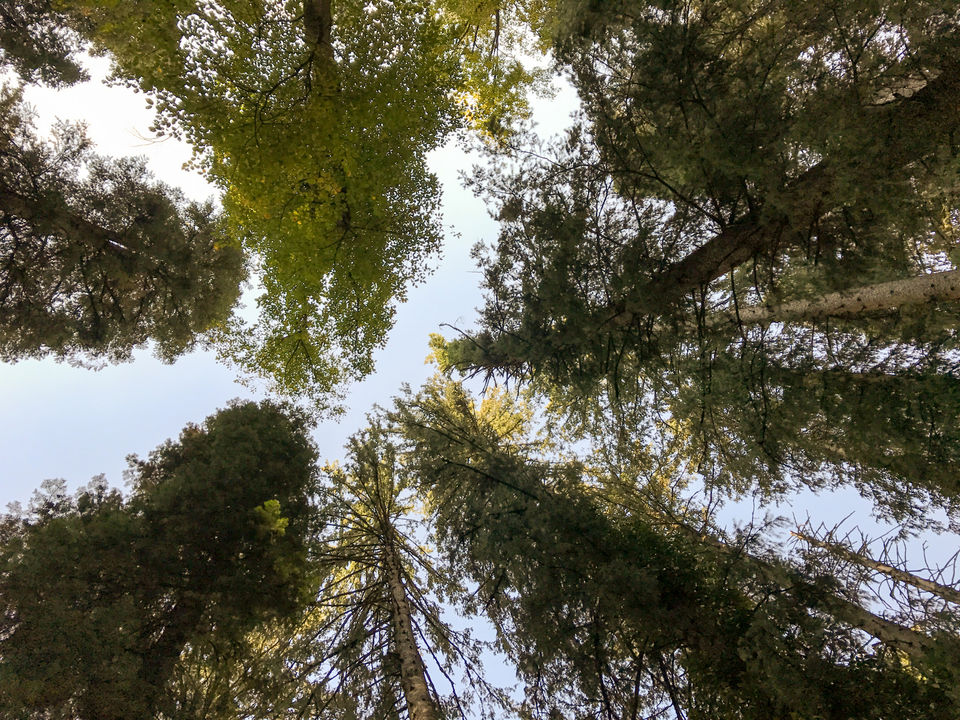 Photo of Parvati Valley with a GoPro Hero 5 51/80 by Vikas Singh