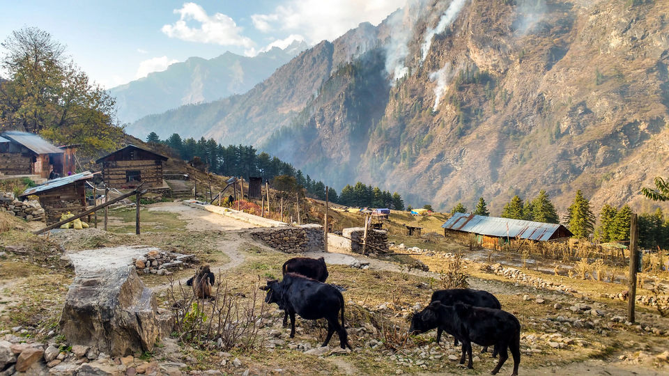 Photo of Parvati Valley with a GoPro Hero 5 58/80 by Vikas Singh
