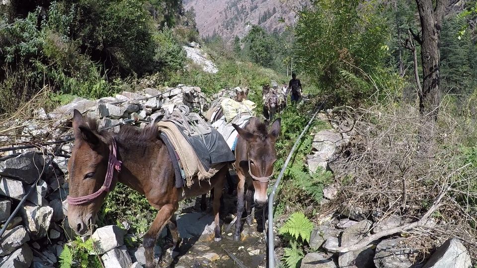 Photo of Parvati Valley with a GoPro Hero 5 12/80 by Vikas Singh