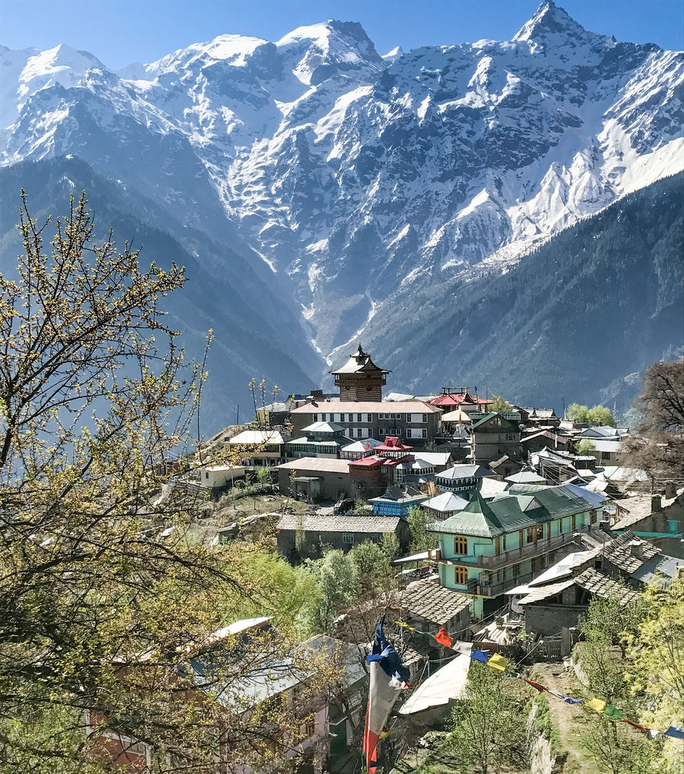 Photo of A solo trip to Kinnaur - Kalpa, Rakchham and Chitkul 15/85 by Vikas Singh
