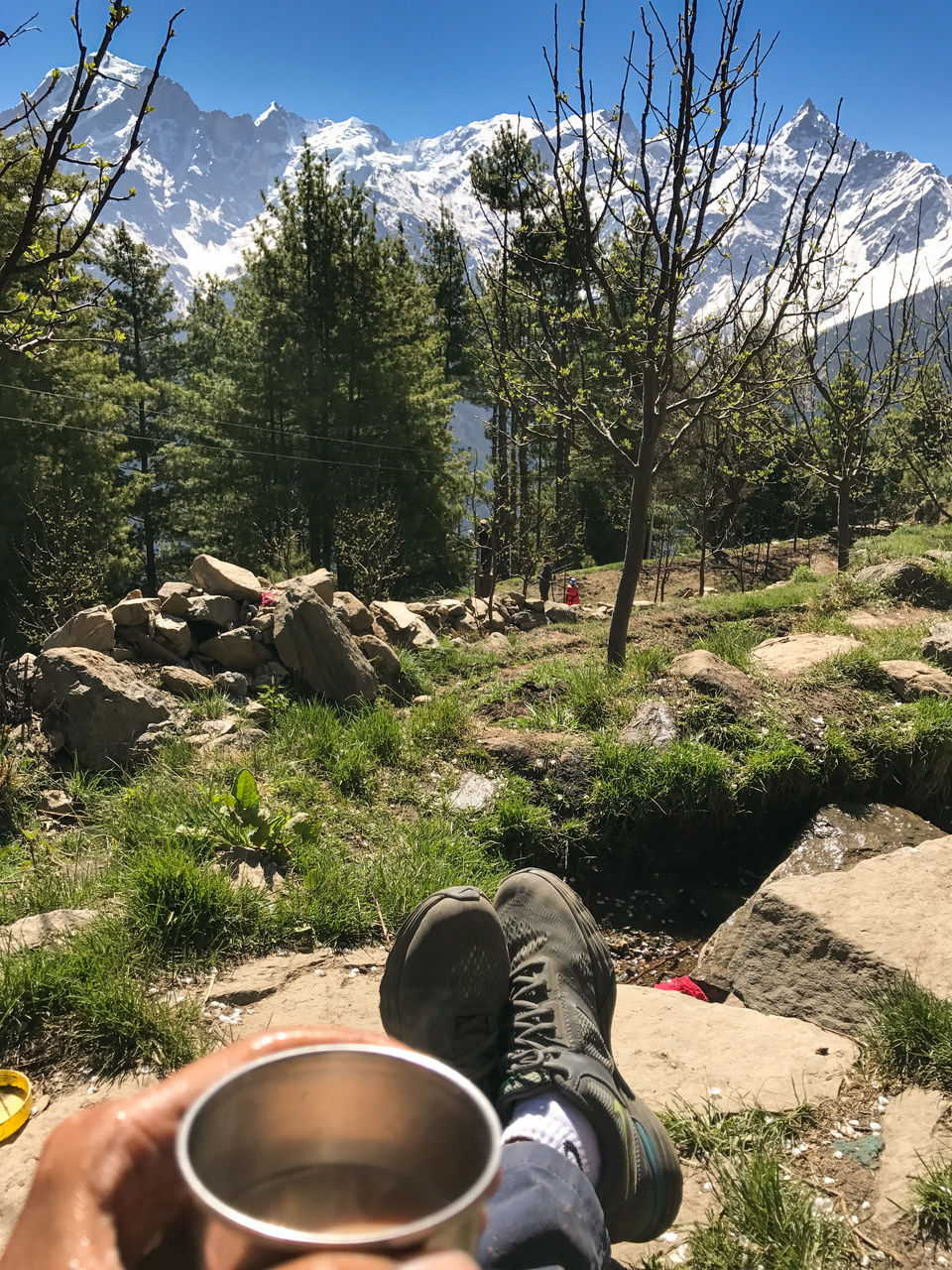 Photo of A solo trip to Kinnaur - Kalpa, Rakchham and Chitkul 24/85 by Vikas Singh