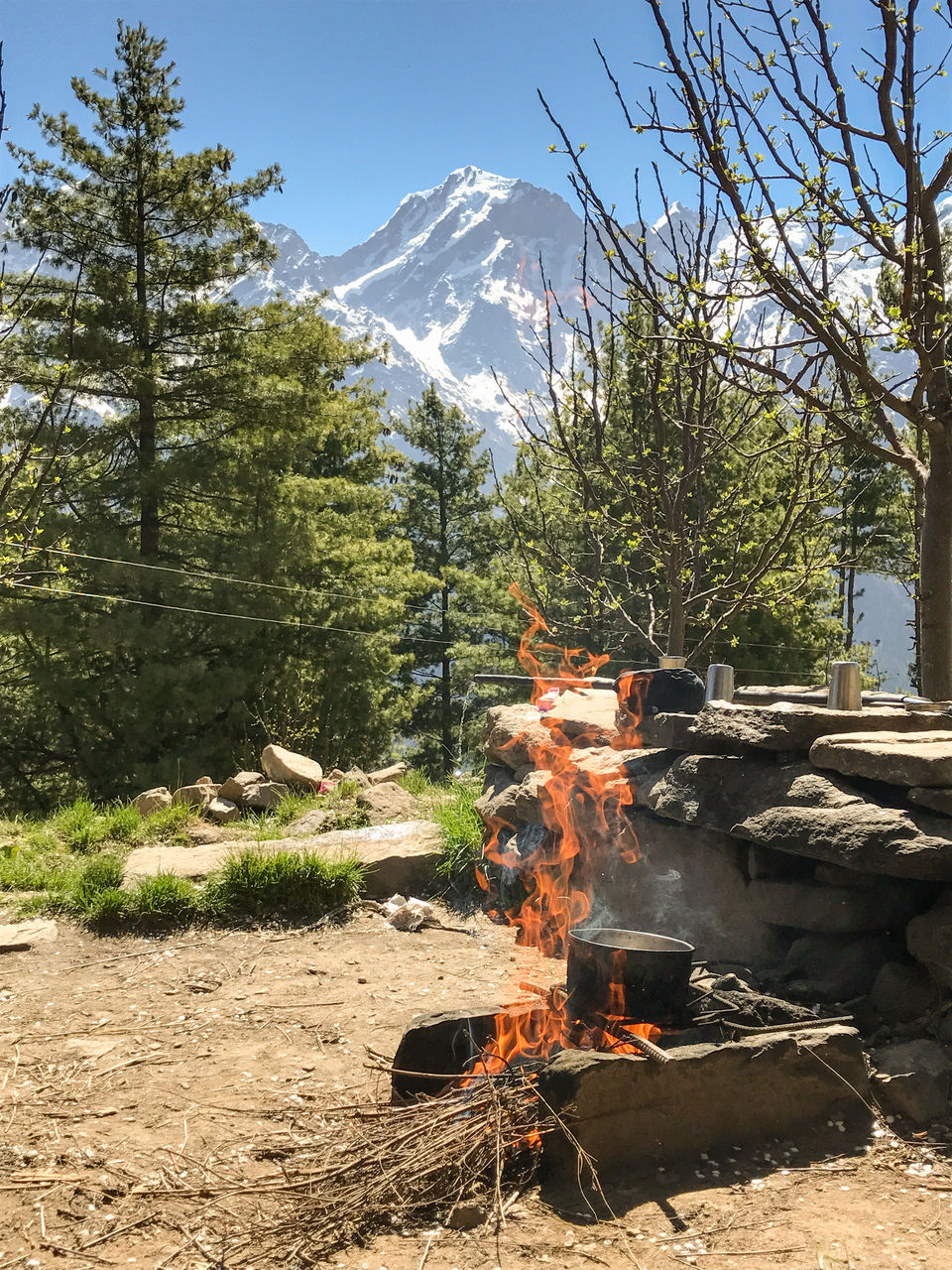 Photo of A solo trip to Kinnaur - Kalpa, Rakchham and Chitkul 23/85 by Vikas Singh