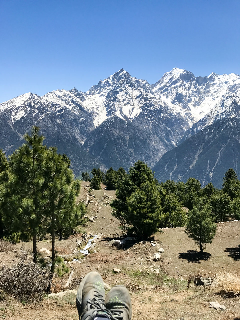 Photo of A solo trip to Kinnaur - Kalpa, Rakchham and Chitkul 27/85 by Vikas Singh
