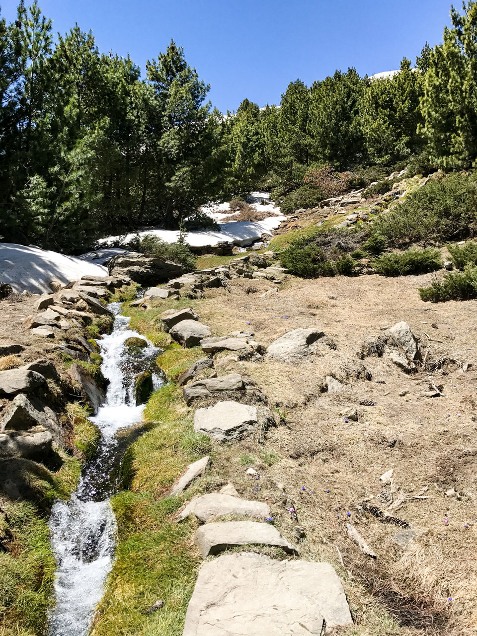Photo of A solo trip to Kinnaur - Kalpa, Rakchham and Chitkul 26/85 by Vikas Singh