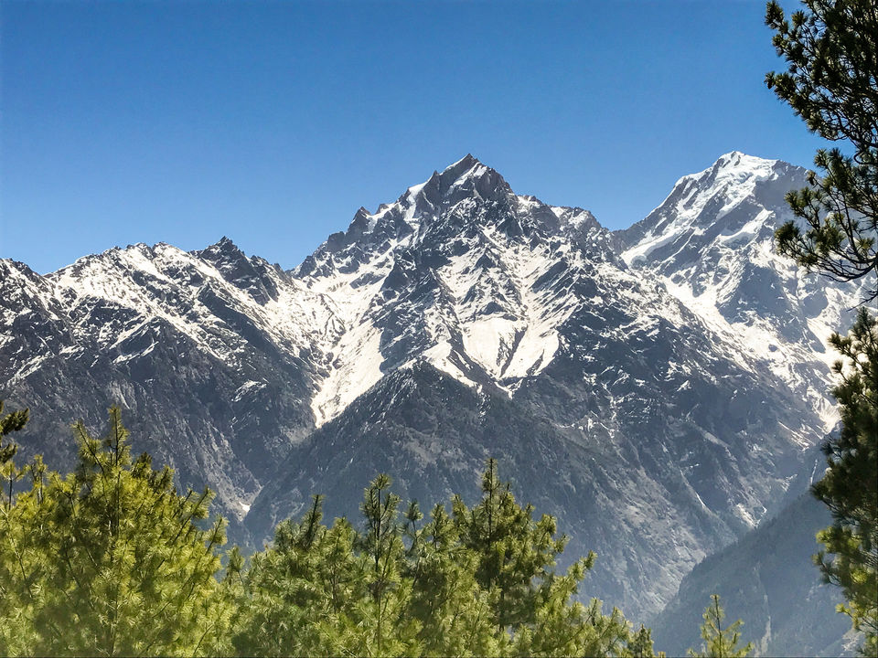 Photo of A solo trip to Kinnaur - Kalpa, Rakchham and Chitkul 28/85 by Vikas Singh