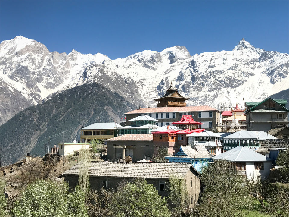 Photo of A solo trip to Kinnaur - Kalpa, Rakchham and Chitkul 32/85 by Vikas Singh