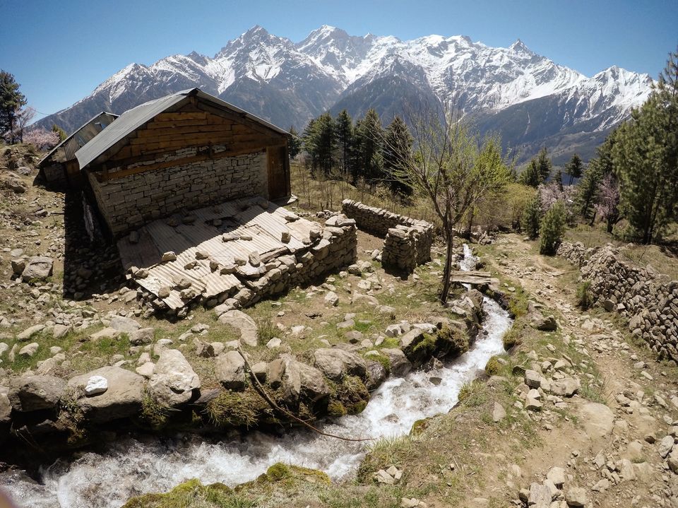 Photo of A solo trip to Kinnaur - Kalpa, Rakchham and Chitkul 31/85 by Vikas Singh