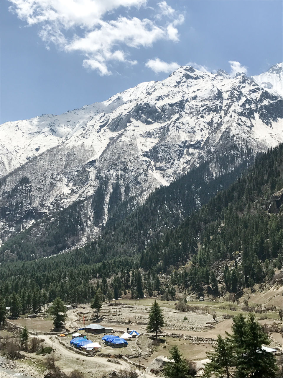 Photo of A solo trip to Kinnaur - Kalpa, Rakchham and Chitkul 47/85 by Vikas Singh