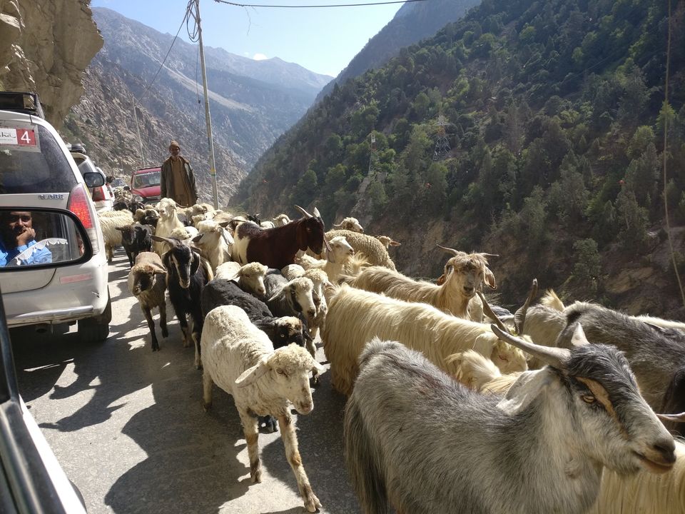 Photo of Spiti Valley: A Road Tripping Journey 5/106 by Vikas Singh