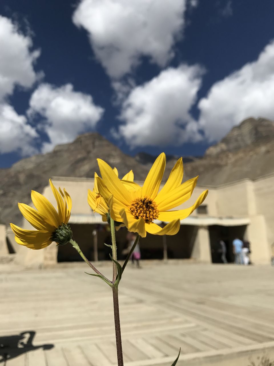 Photo of Spiti Valley: A Road Tripping Journey 41/106 by Vikas Singh