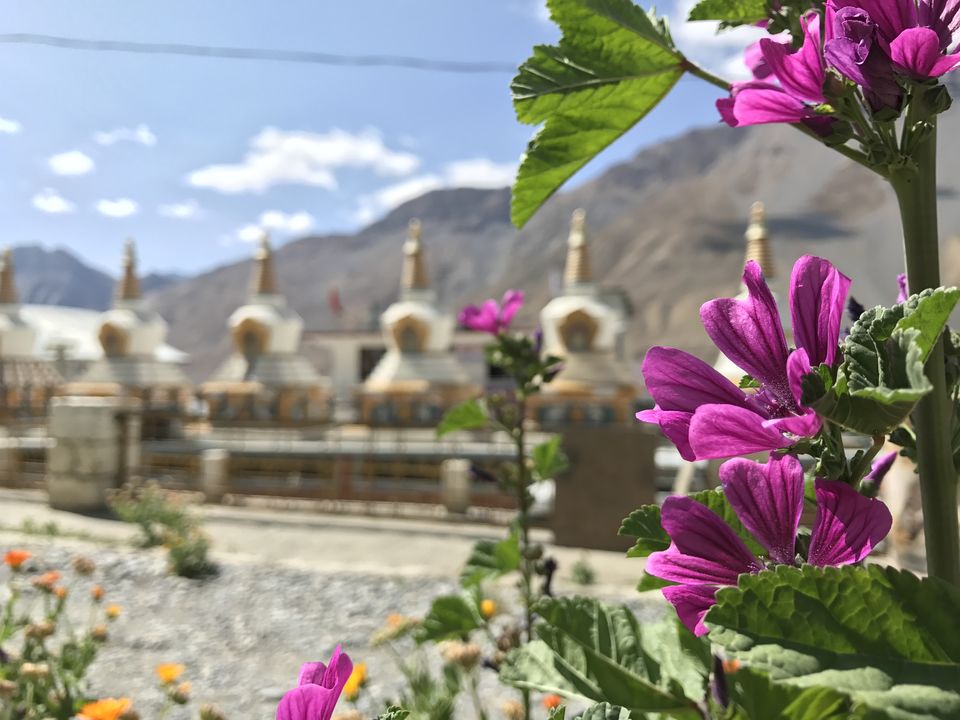 Photo of Spiti Valley: A Road Tripping Journey 55/106 by Vikas Singh