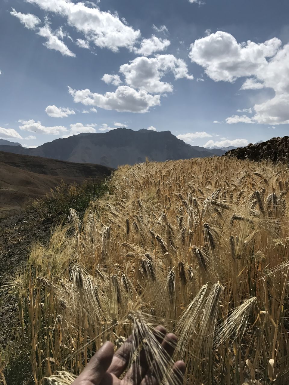 Photo of Spiti Valley: A Road Tripping Journey 67/106 by Vikas Singh