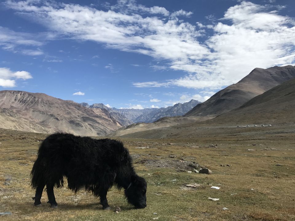 Photo of Spiti Valley: A Road Tripping Journey 96/106 by Vikas Singh