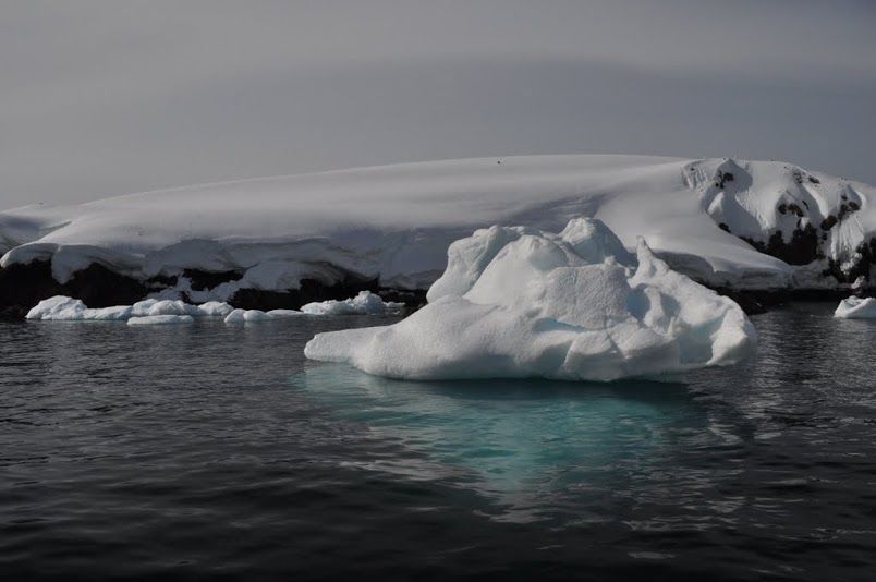 Photo of Foyn Harbour & Brown Station, Antarctica by Hot Toddies Unlimited