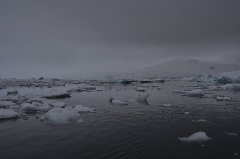 Photo of An Expedition To Antarctica 4/10 by Hot Toddies Unlimited