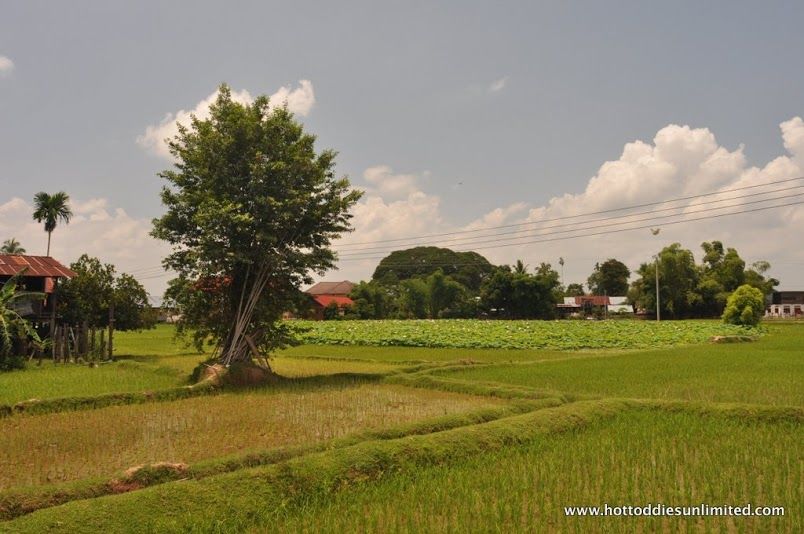 Photo of Laos: Small Country, Great Adventure 4/6 by Hot Toddies Unlimited