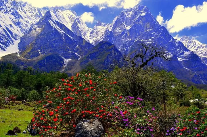 Photo of Lachung, Sikkim, India by Siddhartha