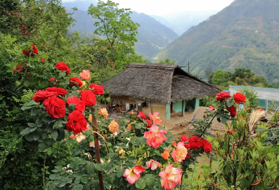 Photo of Darap, West Sikkim, Sikkim, India by Siddhartha