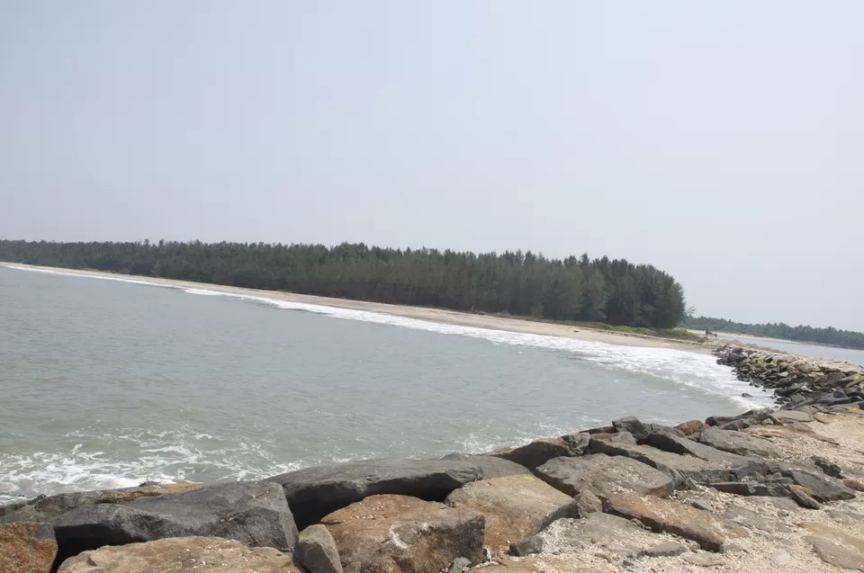 Photo of Matool, Matool, Kerala, India by Bharati Makhijani