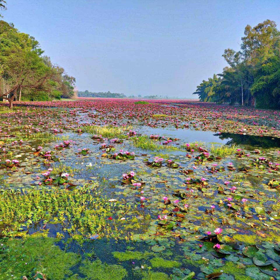 Photo of Lotus Valley | New growing Hotspot & best for pre wedding photoshoot in MadhyaPradesh ๐ by Livsnjutare