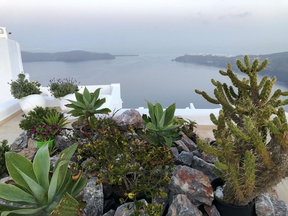 Photo of Santorini – A Greek Island with a Sanitized Look 6/27 by Pushpa Kurup