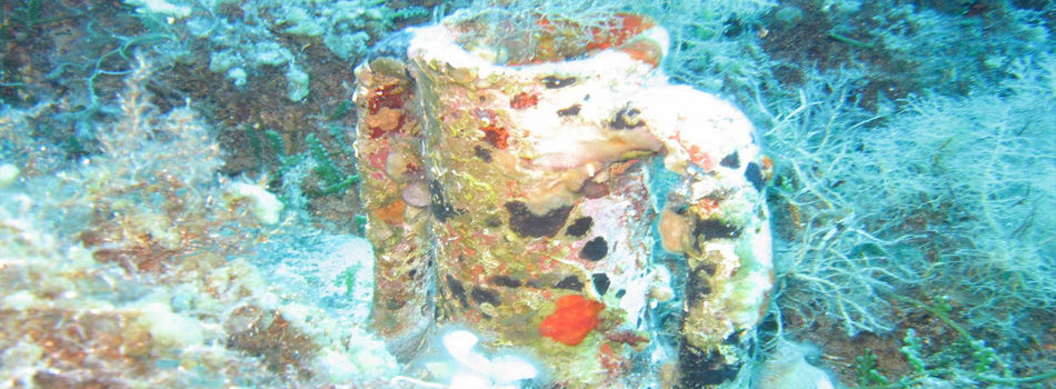 Photo of Best Underwater Dives in Mykonos, Greece 5/12 by Demiropoulos Konstantinos