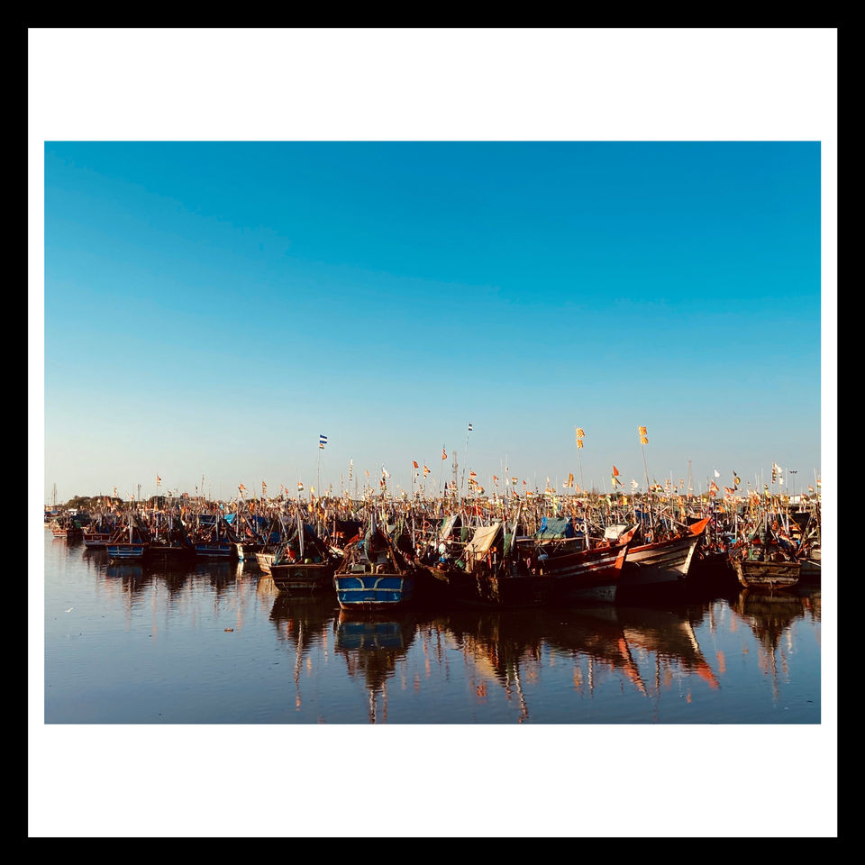 Photo of Gujarat by Seema Naik