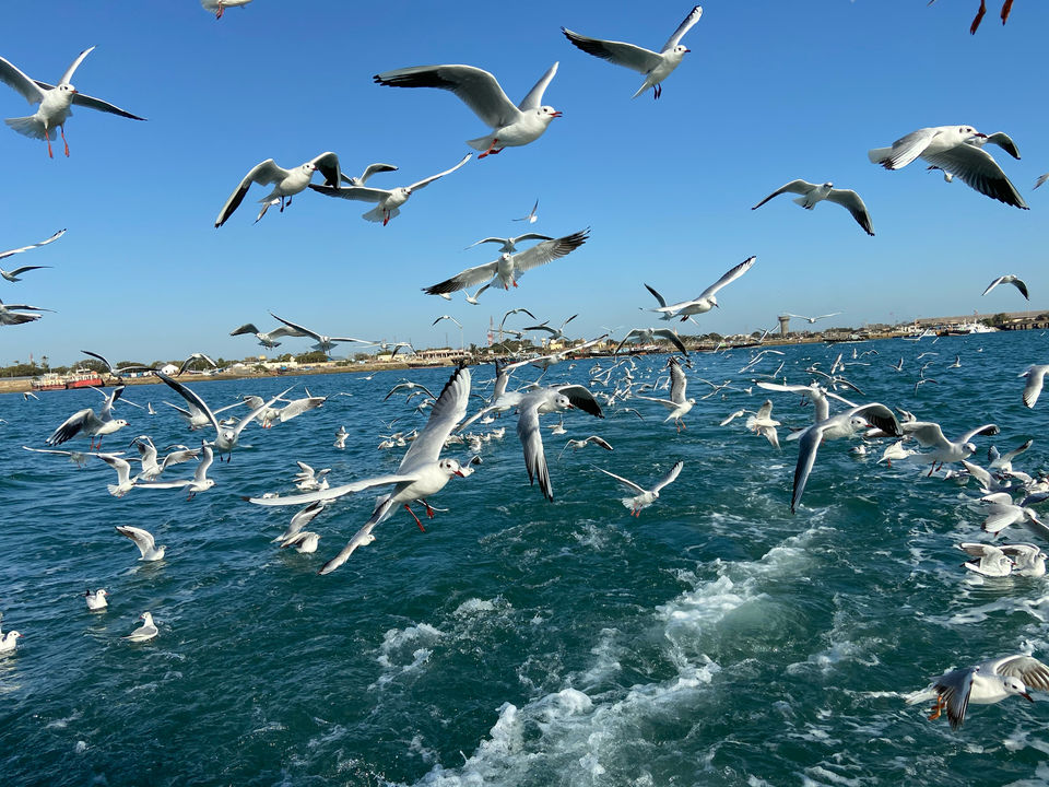 Photo of Gujarat by Seema Naik