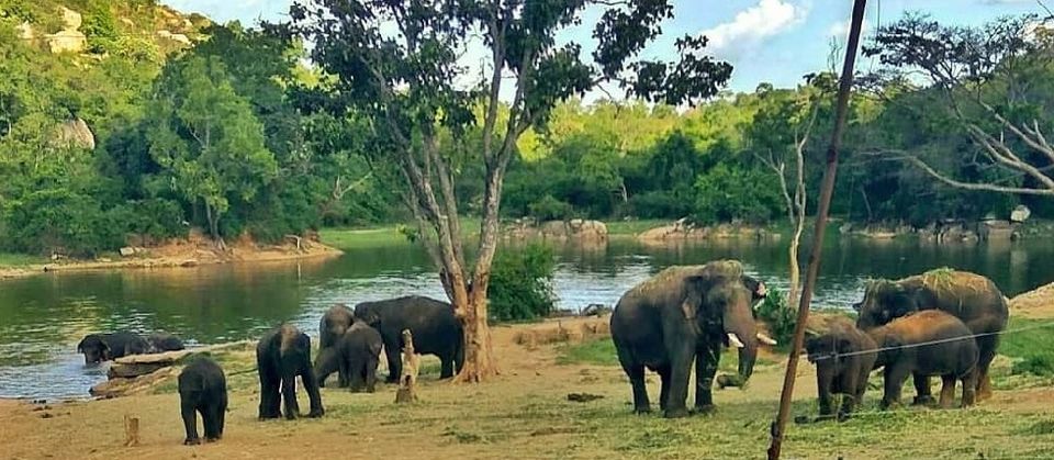 Photo of A Sunday at Bannerghatta National Park by SAGAR SAMRAT