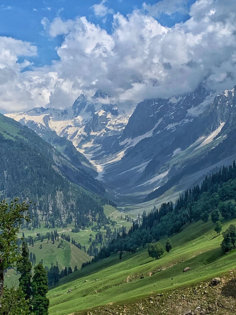 Photo of Kashmir Great Lakes Trek 4/27 by Preetha