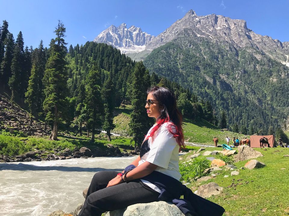 Photo of Kashmir Great Lakes Trek 5/27 by Preetha