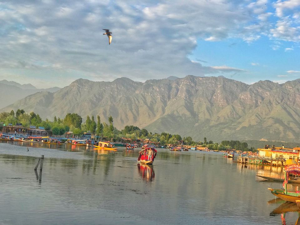 Photo of Kashmir Great Lakes Trek 27/27 by Preetha