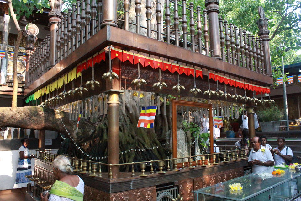 Photo of 5 places to visit in Sri Lanka 2/9 by Anchal Mehra