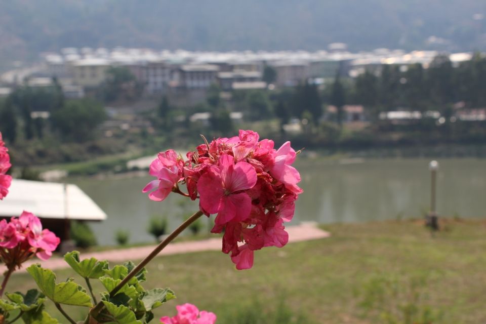 Photo of A Honeymoon in Bhutan 19/28 by Vipul Mehta