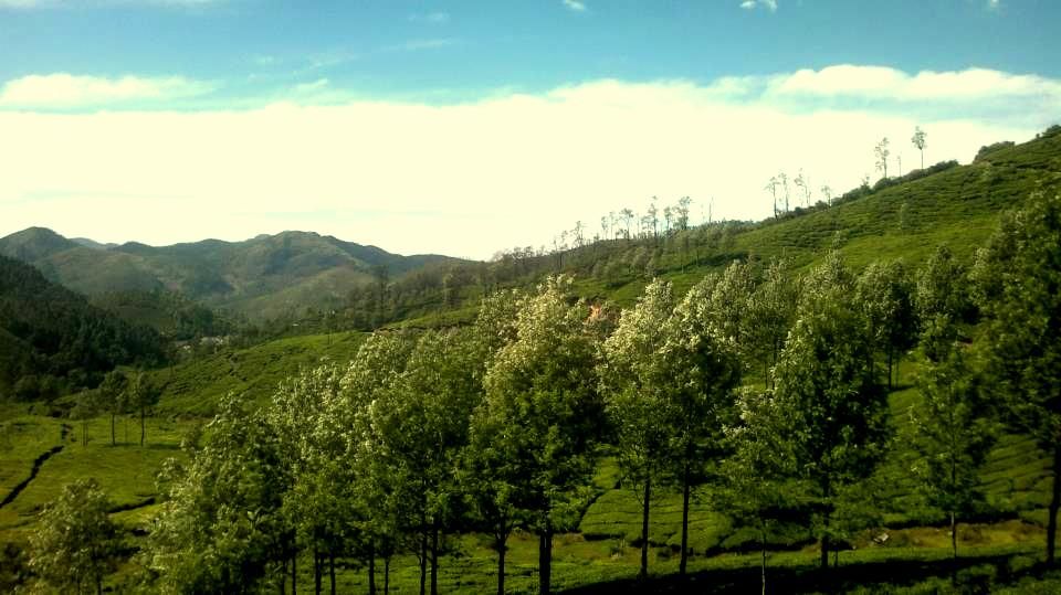 Photo of Munnar - Darjeeling of the south 2/7 by Raunak Upadhyay