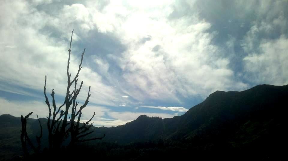 Photo of Munnar - Darjeeling of the south 3/7 by Raunak Upadhyay