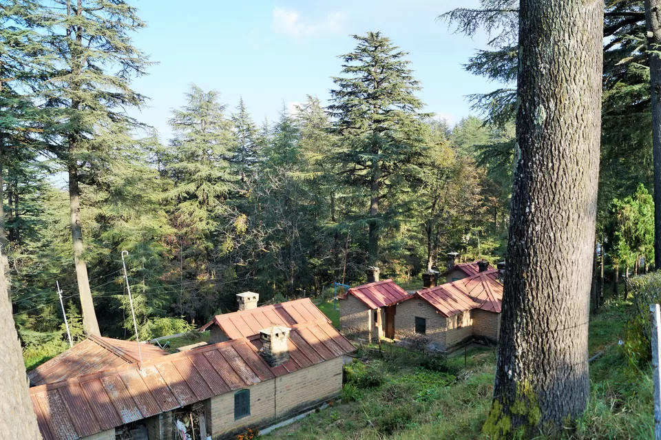 Photo of Mukteshwar, Uttarakhand, India by Raunak Upadhyay