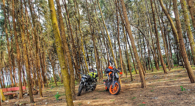Photo of The Coastal Odyssey 4/4 by VINAY YADAV