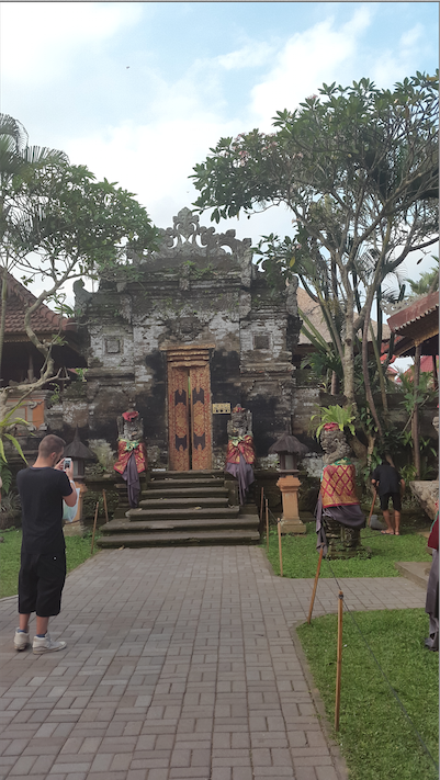 Photo of Picture Journey to mesmerising Bali - Pictures speaks thousand words by madhu sharma