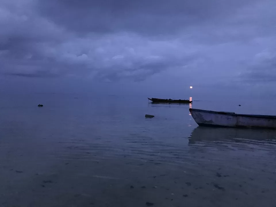 Photo of Coral Reef Resort Havelock Island, Andaman and Nicobar Islands, India by swathi jois