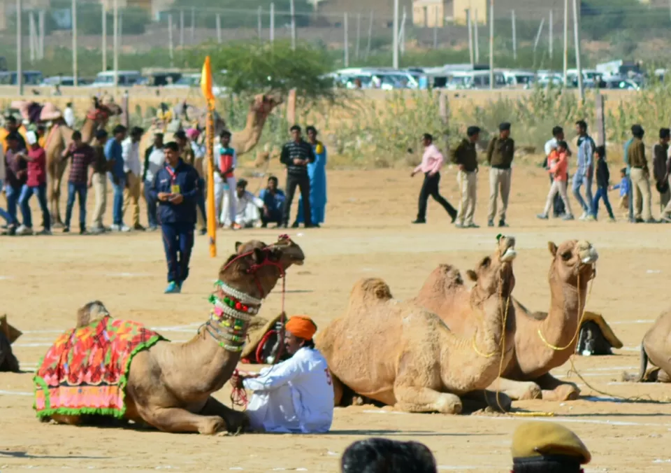 Photo of Jaisalmer, Rajasthan, India by Sonya V. Anchan
