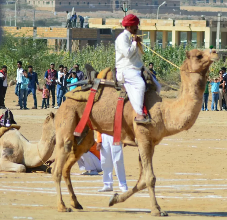 Photo of Jaisalmer, Rajasthan, India by Sonya V. Anchan