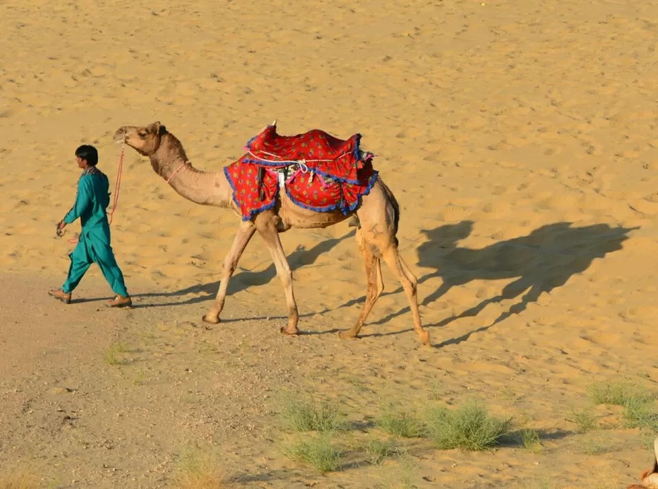Photo of Jaisalmer, Rajasthan, India by Sonya V. Anchan