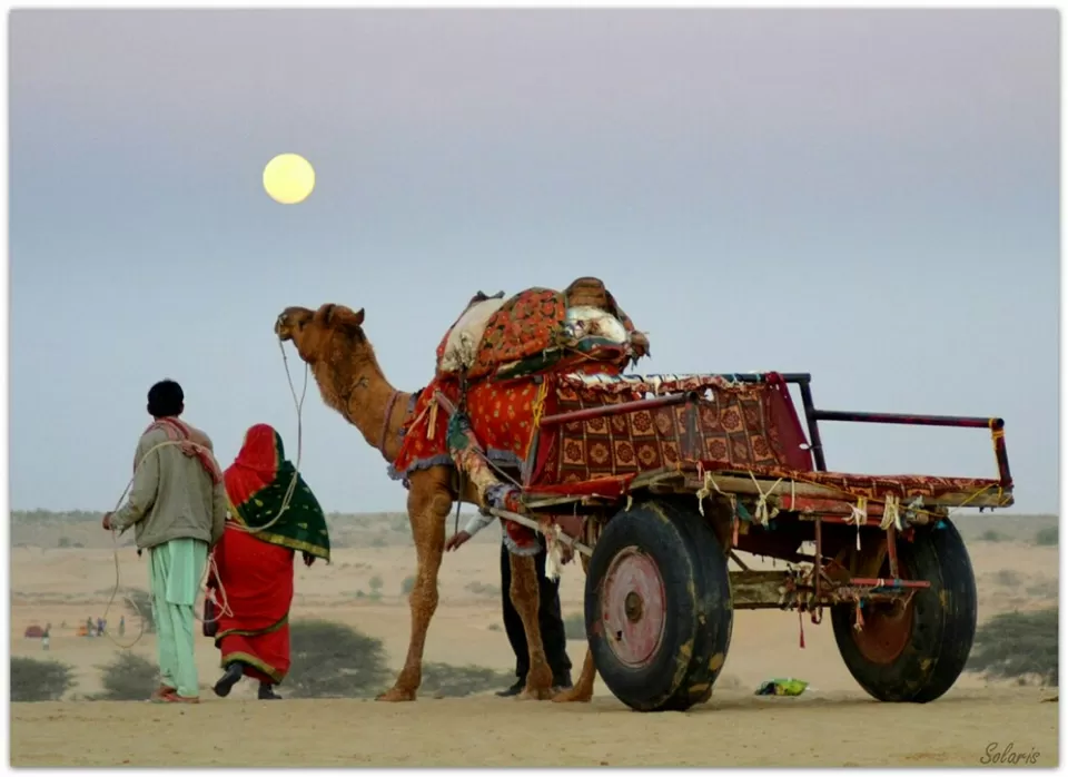 Photo of Jaisalmer, Rajasthan, India by Sonya V. Anchan