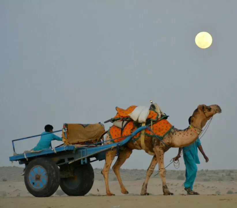 Photo of Jaisalmer, Rajasthan, India by Sonya V. Anchan