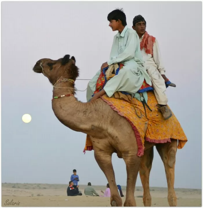 Photo of Jaisalmer, Rajasthan, India by Sonya V. Anchan