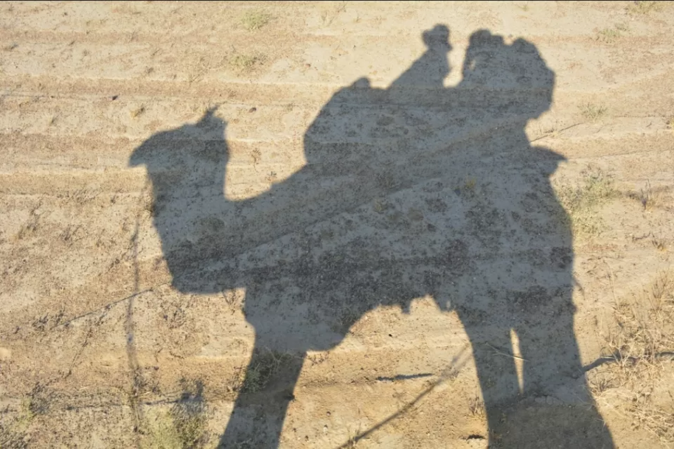Photo of Jaisalmer, Rajasthan, India by Sonya V. Anchan